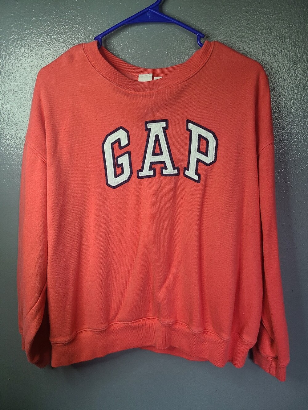 GAP Coral Logo Crewneck Sweatshirt